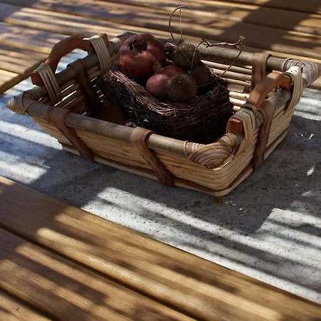 Nana - Modern With A Pool Surrounded By Nature, Istria-pula Valtura